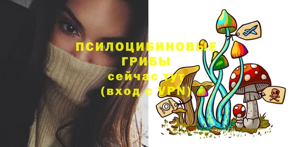 apvp Алзамай
